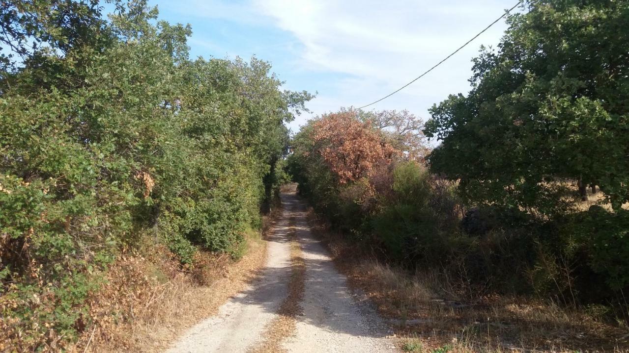 فيلا Agriturismo Sa E Padedda Mores المظهر الخارجي الصورة